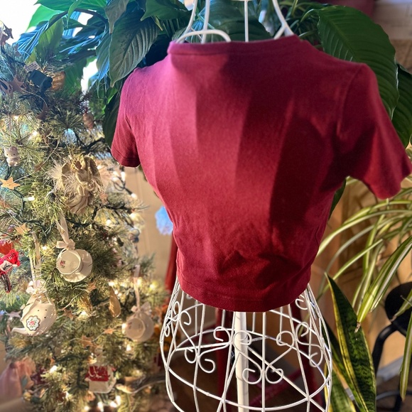 Wild Fable brick red cropped tee - Picture 2 of 4